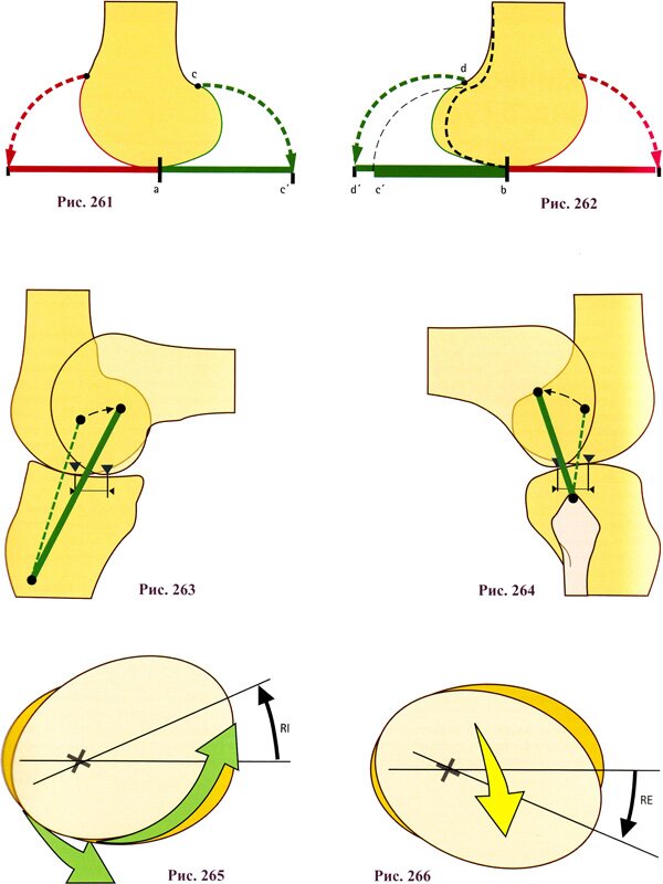 Автоматическая ротация в коленном суставе