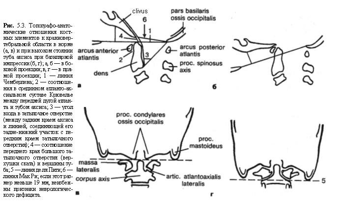 Топографо-анатомические отношения костных элементов к краниовертебальной области